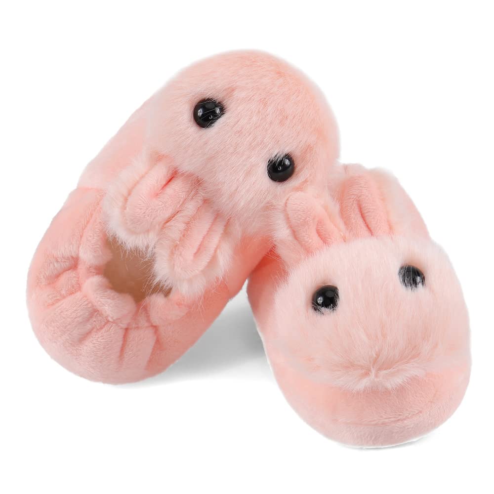 KAKU NANU Kids Slippers